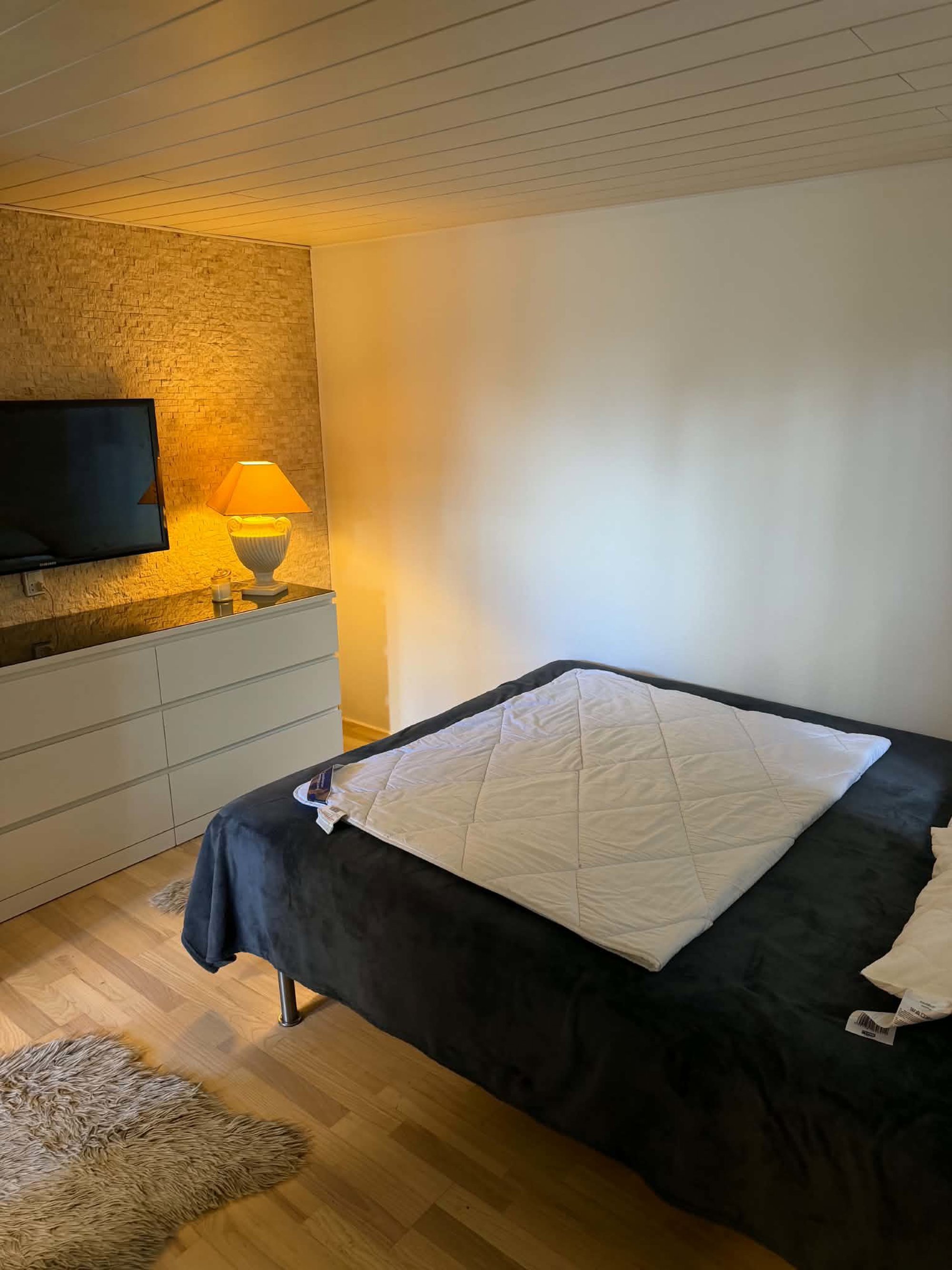 Vintergækvænget 8, 2750 Ballerup